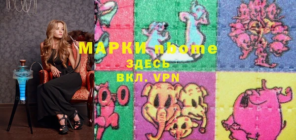 индика Иннополис